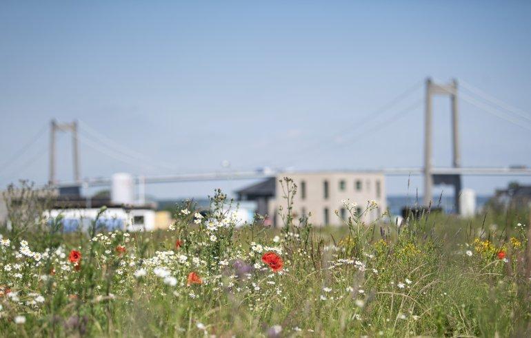 Middelfart tænker nu klima ind fra byggestart