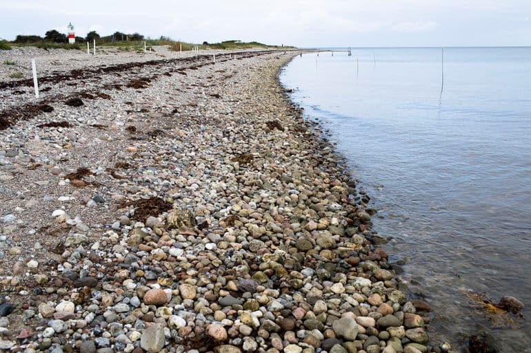 Miljøgodkendelser forsinker oprydning af forurenet strand