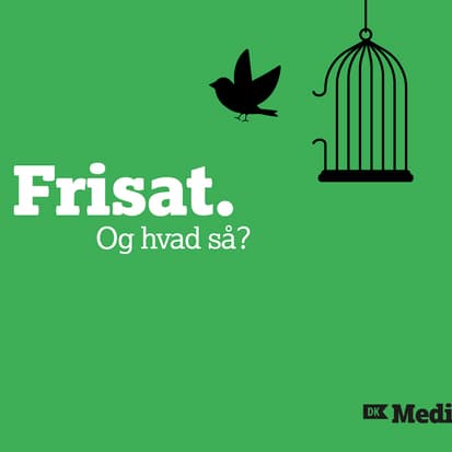 Frisat